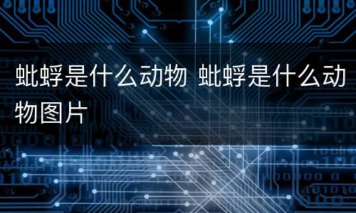 蚍蜉是什么动物 蚍蜉是什么动物图片