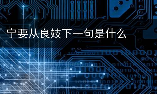 宁要从良妓下一句是什么