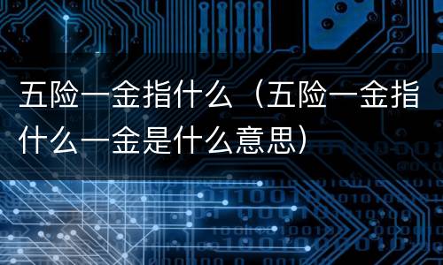 五险一金指什么（五险一金指什么一金是什么意思）