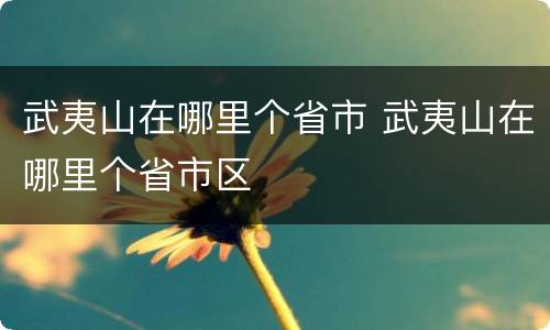 武夷山在哪里个省市 武夷山在哪里个省市区