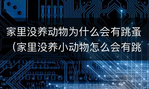 家里没养动物为什么会有跳蚤（家里没养小动物怎么会有跳蚤）