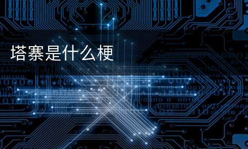 塔寨是什么梗