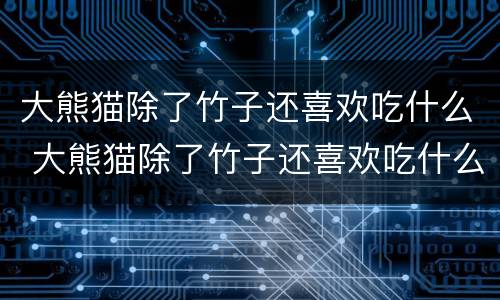 大熊猫除了竹子还喜欢吃什么 大熊猫除了竹子还喜欢吃什么食物
