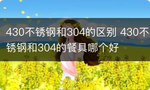 430不锈钢和304的区别 430不锈钢和304的餐具哪个好