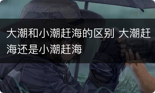 大潮和小潮赶海的区别 大潮赶海还是小潮赶海