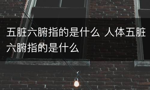 五脏六腑指的是什么 人体五脏六腑指的是什么