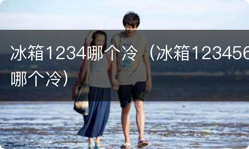 冰箱1234哪个冷（冰箱123456哪个冷）