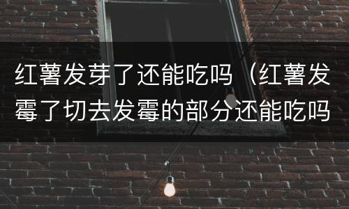 红薯发芽了还能吃吗（红薯发霉了切去发霉的部分还能吃吗）