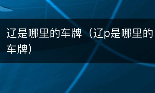 辽是哪里的车牌（辽p是哪里的车牌）