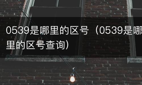 0539是哪里的区号（0539是哪里的区号查询）
