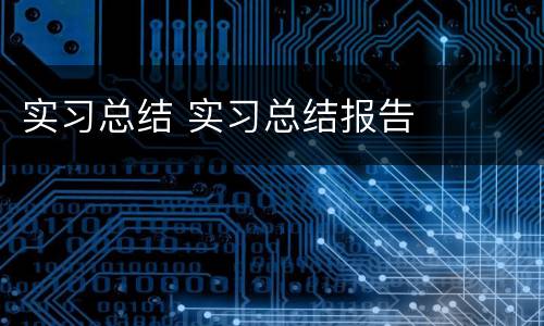 实习总结 实习总结报告