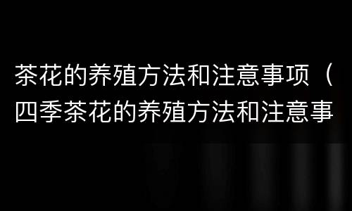 茶花的养殖方法和注意事项（四季茶花的养殖方法和注意事项）