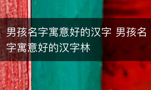 男孩名字寓意好的汉字 男孩名字寓意好的汉字林