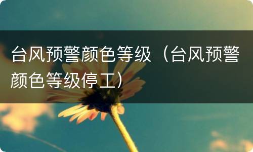 台风预警颜色等级（台风预警颜色等级停工）
