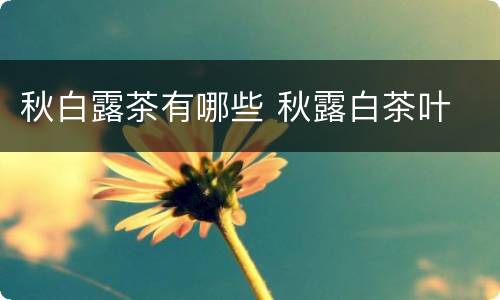 秋白露茶有哪些 秋露白茶叶