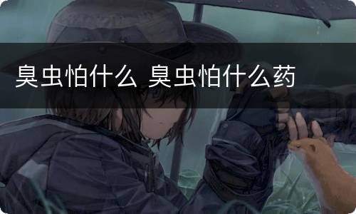 臭虫怕什么 臭虫怕什么药