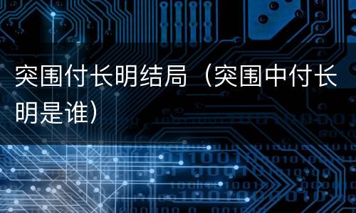 突围付长明结局（突围中付长明是谁）