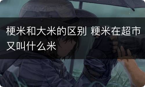 梗米和大米的区别 粳米在超市又叫什么米