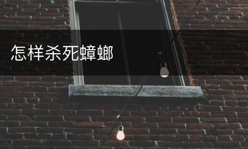 怎样杀死蟑螂