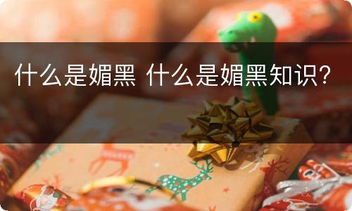 什么是媚黑 什么是媚黑知识?