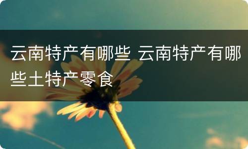 云南特产有哪些 云南特产有哪些土特产零食