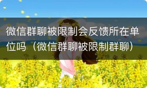 微信群聊被限制会反馈所在单位吗（微信群聊被限制群聊）
