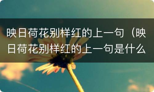 映日荷花别样红的上一句（映日荷花别样红的上一句是什么意思）