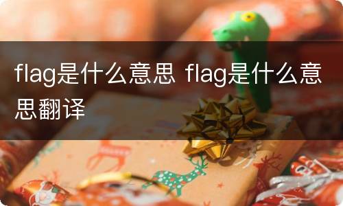 flag是什么意思 flag是什么意思翻译