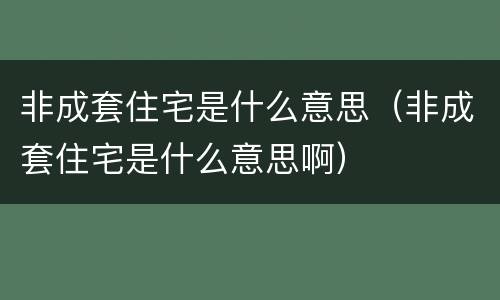 非成套住宅是什么意思（非成套住宅是什么意思啊）