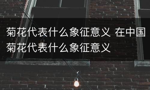 菊花代表什么象征意义 在中国菊花代表什么象征意义
