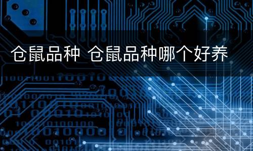 仓鼠品种 仓鼠品种哪个好养