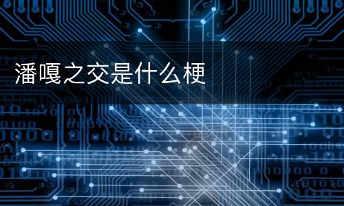 潘嘎之交是什么梗