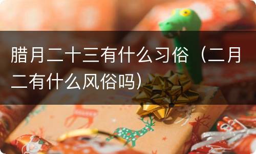 腊月二十三有什么习俗（二月二有什么风俗吗）