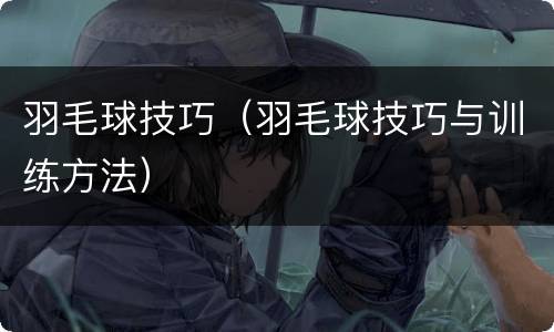 羽毛球技巧（羽毛球技巧与训练方法）