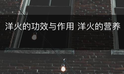 洋火的功效与作用 洋火的营养