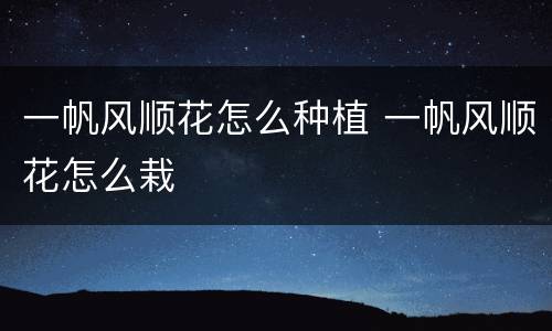 一帆风顺花怎么种植 一帆风顺花怎么栽