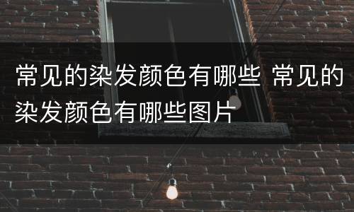 常见的染发颜色有哪些 常见的染发颜色有哪些图片