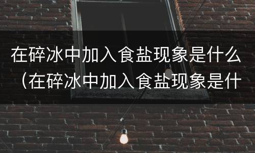 在碎冰中加入食盐现象是什么（在碎冰中加入食盐现象是什么原理）