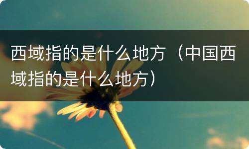 西域指的是什么地方（中国西域指的是什么地方）