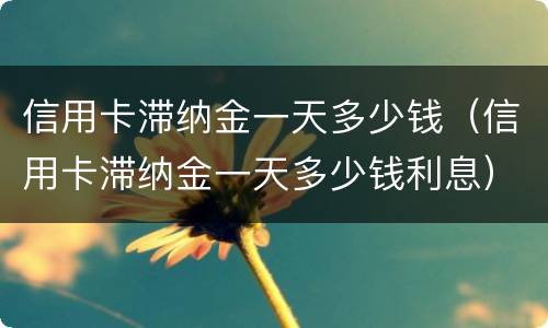 信用卡滞纳金一天多少钱（信用卡滞纳金一天多少钱利息）
