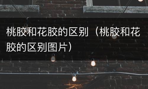 桃胶和花胶的区别（桃胶和花胶的区别图片）