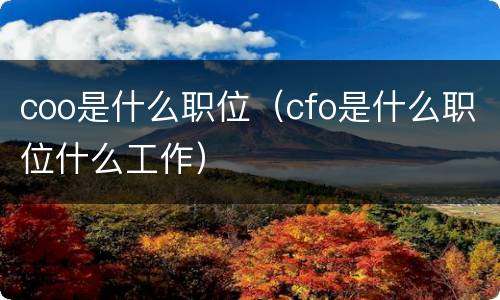 coo是什么职位（cfo是什么职位什么工作）