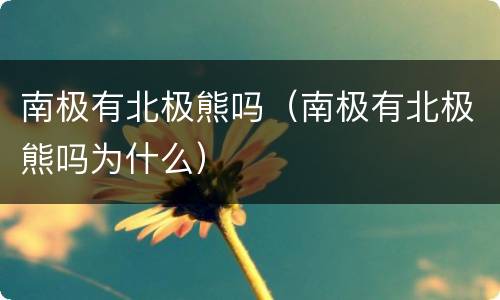南极有北极熊吗（南极有北极熊吗为什么）