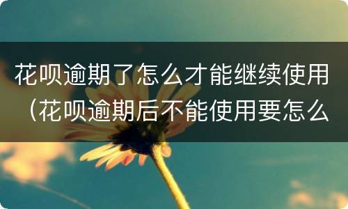 花呗逾期了怎么才能继续使用（花呗逾期后不能使用要怎么才可以继续使用）