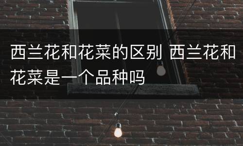 西兰花和花菜的区别 西兰花和花菜是一个品种吗