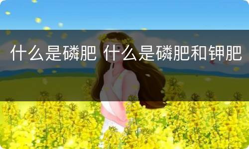 什么是磷肥 什么是磷肥和钾肥