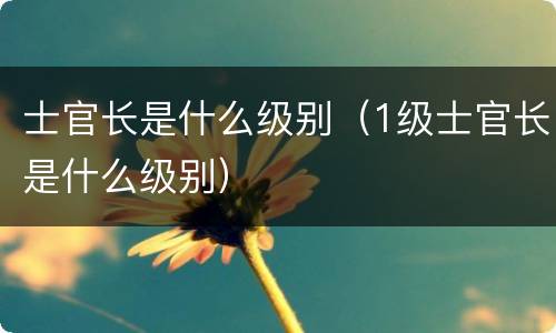 士官长是什么级别（1级士官长是什么级别）