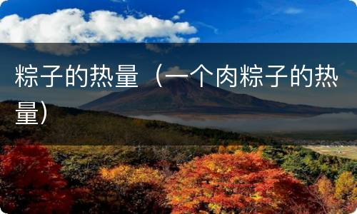 粽子的热量（一个肉粽子的热量）