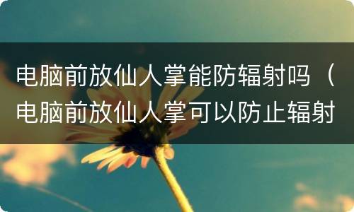 电脑前放仙人掌能防辐射吗（电脑前放仙人掌可以防止辐射吗）