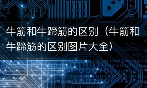 牛筋和牛蹄筋的区别（牛筋和牛蹄筋的区别图片大全）